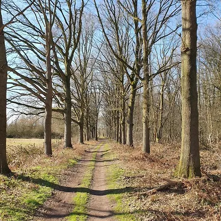 De Stok Bed & Breakfast