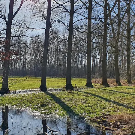 De Stok Bed & Breakfast