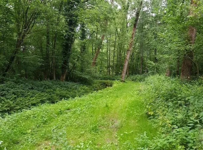 De Stok Nocleg ze śniadaniem 4*