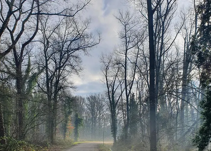 De Stok Couette-café Sint-Oedenrode