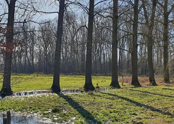 De Stok לינה וארוחת בוקר