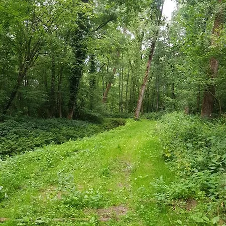 De Stok Bed & Breakfast 4*