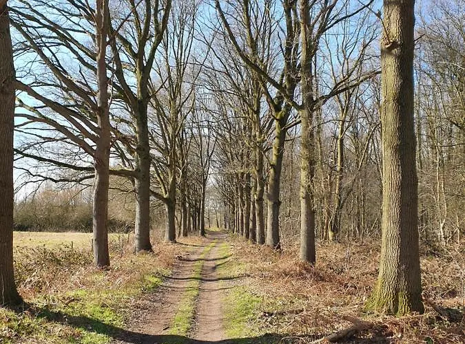 De Stok 住宿加早餐酒店