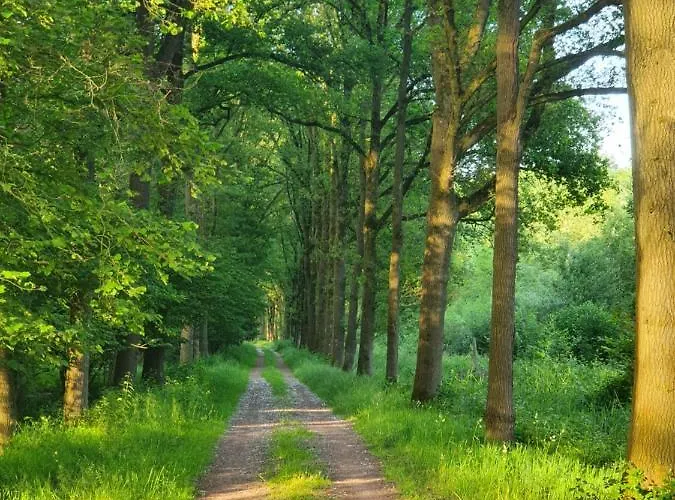 De Stok 4* Sint-Oedenrode